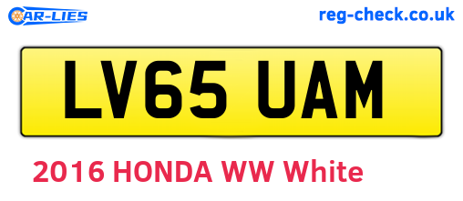 LV65UAM are the vehicle registration plates.