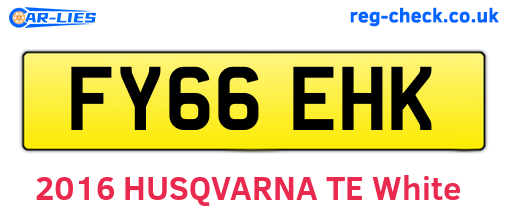 FY66EHK are the vehicle registration plates.