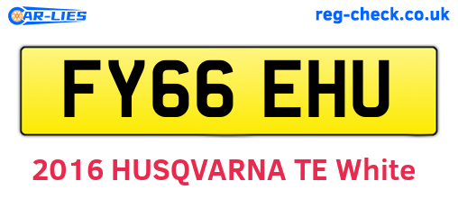 FY66EHU are the vehicle registration plates.