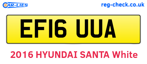EF16UUA are the vehicle registration plates.