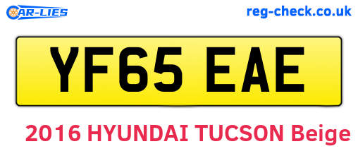 YF65EAE are the vehicle registration plates.