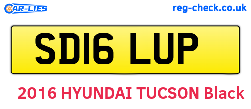 SD16LUP are the vehicle registration plates.