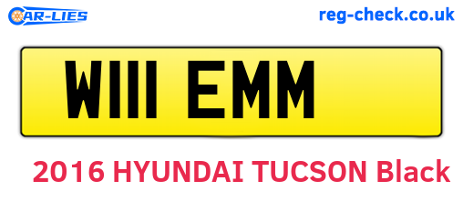 W111EMM are the vehicle registration plates.