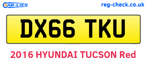 DX66TKU are the vehicle registration plates.