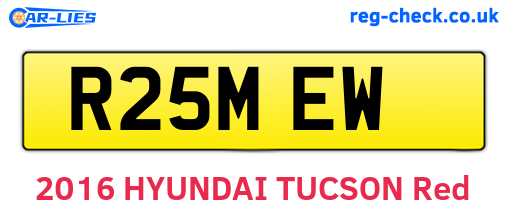 R25MEW are the vehicle registration plates.