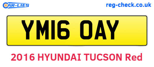 YM16OAY are the vehicle registration plates.