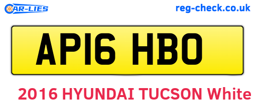 AP16HBO are the vehicle registration plates.