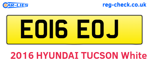 EO16EOJ are the vehicle registration plates.