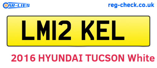 LM12KEL are the vehicle registration plates.