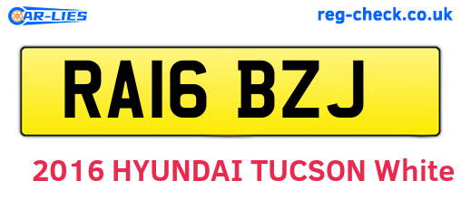 RA16BZJ are the vehicle registration plates.