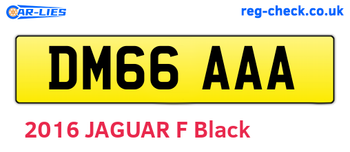 DM66AAA are the vehicle registration plates.