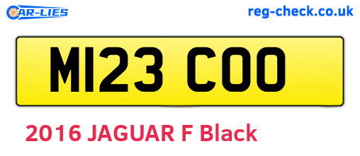 M123COO are the vehicle registration plates.