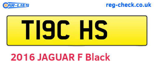 T19CHS are the vehicle registration plates.