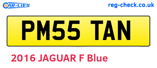 PM55TAN are the vehicle registration plates.