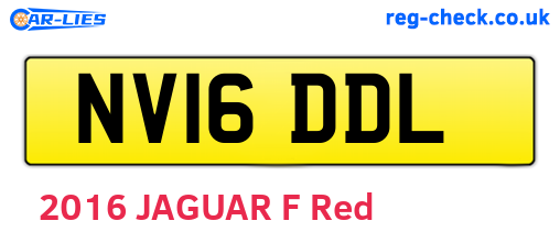 NV16DDL are the vehicle registration plates.