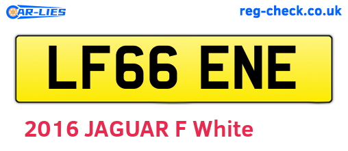 LF66ENE are the vehicle registration plates.