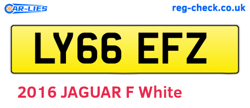LY66EFZ are the vehicle registration plates.