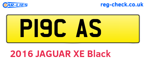 P19CAS are the vehicle registration plates.
