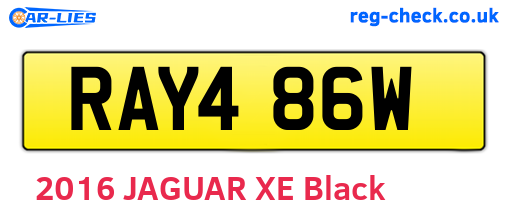 RAY486W are the vehicle registration plates.