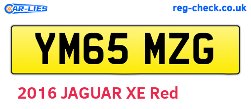 YM65MZG are the vehicle registration plates.
