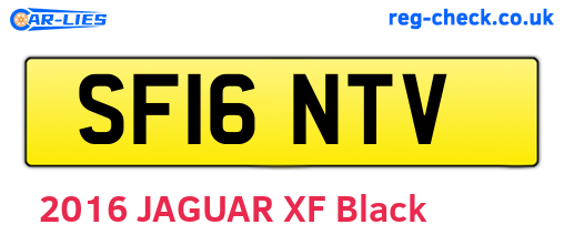SF16NTV are the vehicle registration plates.