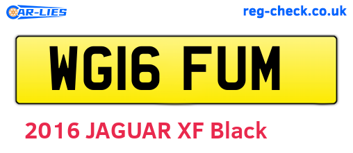 WG16FUM are the vehicle registration plates.