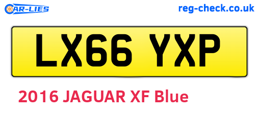 LX66YXP are the vehicle registration plates.