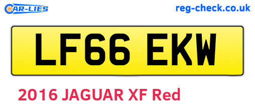 LF66EKW are the vehicle registration plates.