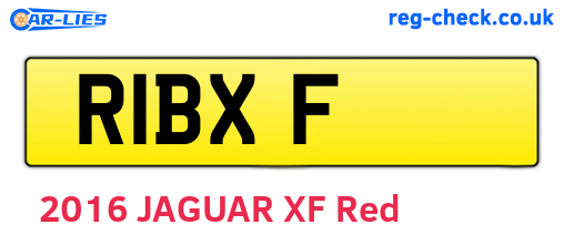 R1BXF are the vehicle registration plates.