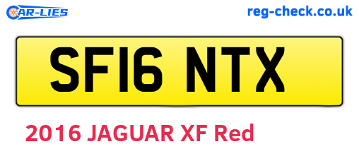 SF16NTX are the vehicle registration plates.