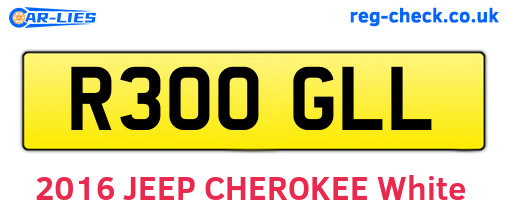 R300GLL are the vehicle registration plates.