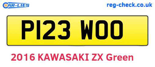 P123WOO are the vehicle registration plates.