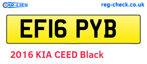 EF16PYB are the vehicle registration plates.