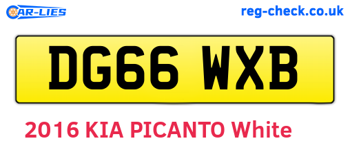 DG66WXB are the vehicle registration plates.
