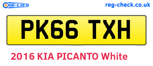 PK66TXH are the vehicle registration plates.
