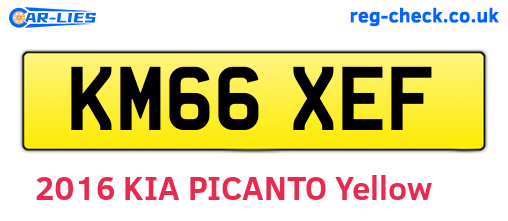 KM66XEF are the vehicle registration plates.