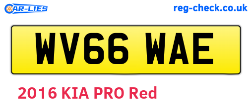 WV66WAE are the vehicle registration plates.