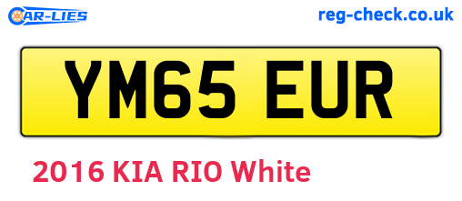 YM65EUR are the vehicle registration plates.