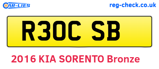 R30CSB are the vehicle registration plates.