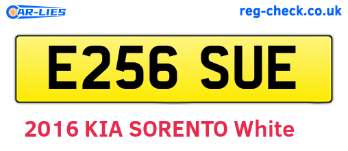 E256SUE are the vehicle registration plates.