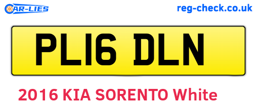 PL16DLN are the vehicle registration plates.