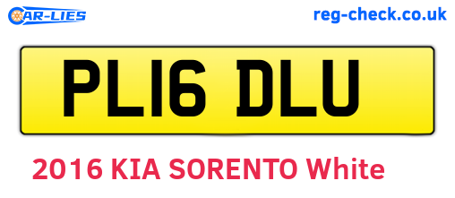 PL16DLU are the vehicle registration plates.