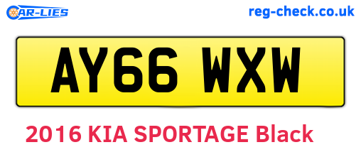 AY66WXW are the vehicle registration plates.