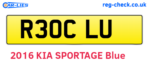 R30CLU are the vehicle registration plates.