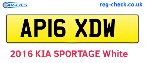 AP16XDW are the vehicle registration plates.