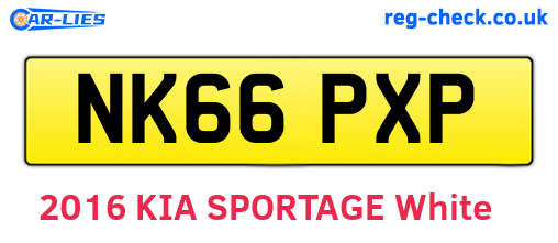NK66PXP are the vehicle registration plates.