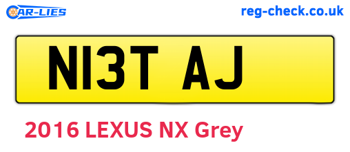 N13TAJ are the vehicle registration plates.