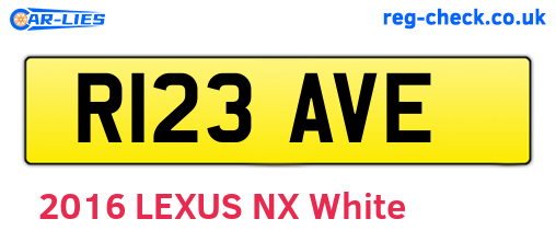 R123AVE are the vehicle registration plates.