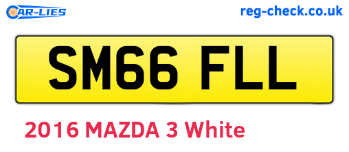 SM66FLL are the vehicle registration plates.