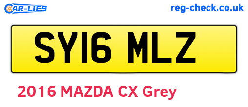 SY16MLZ are the vehicle registration plates.